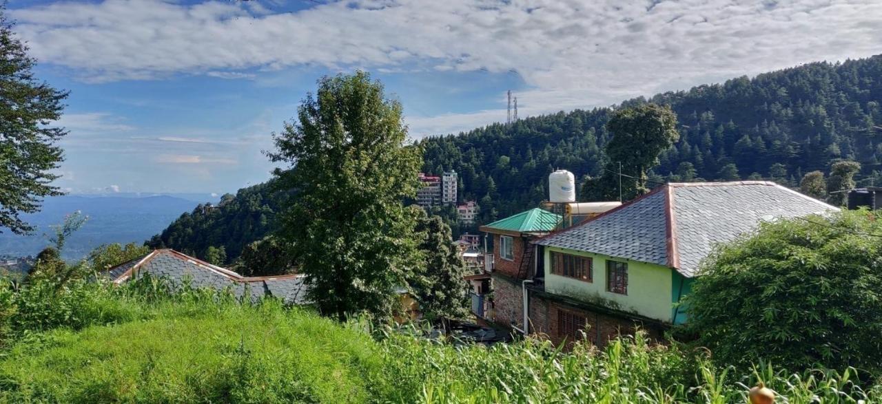 White Rabbit Guest House Дармсала Экстерьер фото